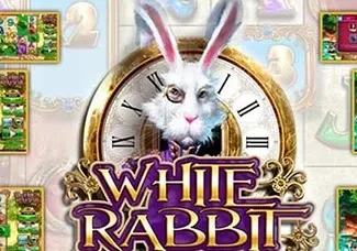 White Rabbit